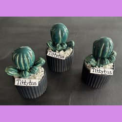 Tittytus 2 farvet- sort potte