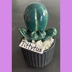 Tittytus 2 farvet- sort potte