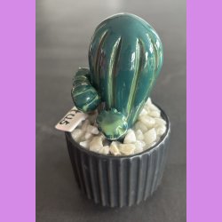 Tittytus 2 farvet- sort potte