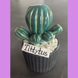 Tittytus 2 farvet- sort potte