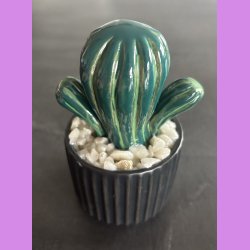 Tittytus 2 farvet- sort potte