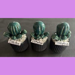 Tittytus 2 farvet- sort potte