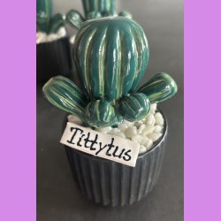 Tittytus 2 farvet- sort potte