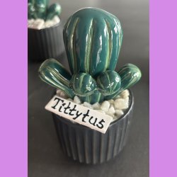 Tittytus 2 farvet- sort potte