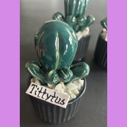 Tittytus 2 farvet- sort potte