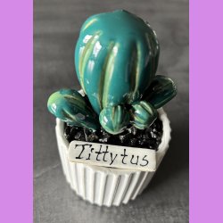 Tittytus 2 farvet - hvid potter - sorte sten - lille skilt