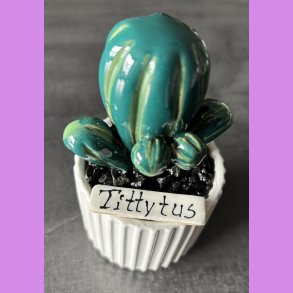 Tittytus 2 farvet - hvid potter - sorte sten - lille skilt