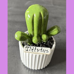 Tittytus 1 farvet - hvid potte - sorte sten - lille skilt