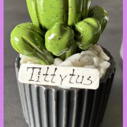 Tittytus 1 farvet - sort potter - hvide sten - lille skilt