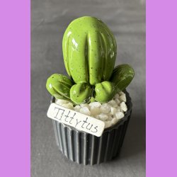 Tittytus 1 farvet - sort potter - hvide sten - lille skilt