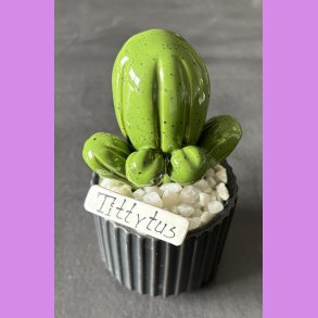 Tittytus 1 farvet - sort potter - hvide sten - lille skilt