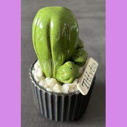 Tittytus 1 farvet - sort potter - hvide sten - lille skilt