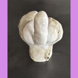 Fuckfinger figur Nr. 6 - Hvid - creme og krater glasur