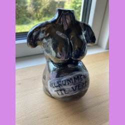 "Velkommen til verden" Gravid Torso