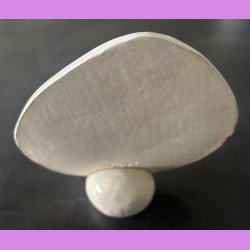 Kinder �g - St�ende og stort. 