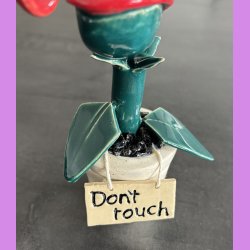 Kddende plante - Dont touch