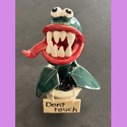 Kddende plante - Dont touch