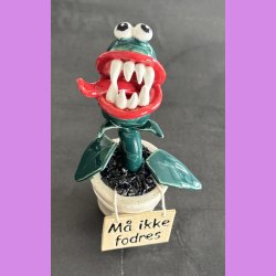 Kddende plante - M ikke fodres