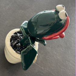 Kddende plante - M ikke rres