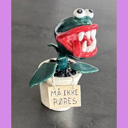 Kddende plante - M ikke rres