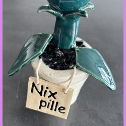 Kddende plante - Nix pille