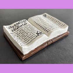 Uhyggelige historier bog