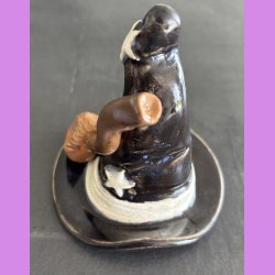 Hekse hatten - Asdun