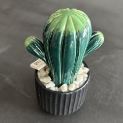 Tittytus 2 farvet- sort potte