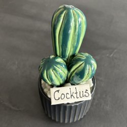 Cocktus 2 farvet- sort potte