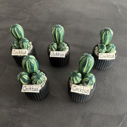 Cocktus 2 farvet- sort potte