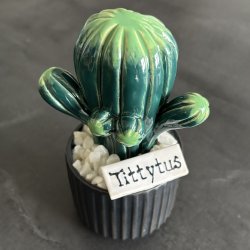 Tittytus 2 farvet- sort potte