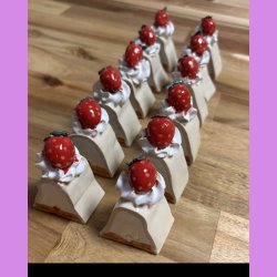 Gsebryster med jordbr