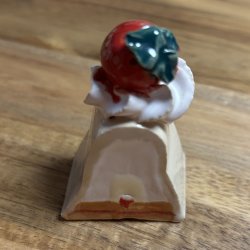 Gsebryster med jordbr