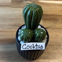 Cocktus Ensfarvet- sort potte