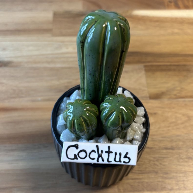 Cocktus Ensfarvet- sort potte