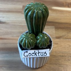 Cocktus Ensfarvet - hvid potte