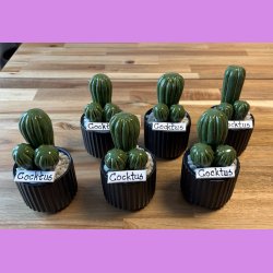 Cocktus Ensfarvet- sort potte