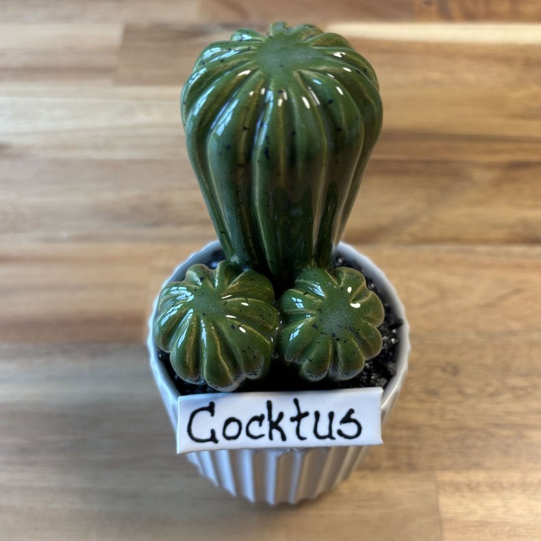 Cocktus Ensfarvet - hvid potte