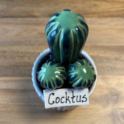 Cocktus 2 farvet- hvid potte