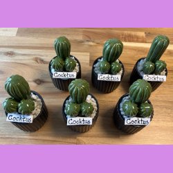 Cocktus Ensfarvet- sort potte