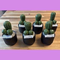 Cocktus Ensfarvet- sort potte