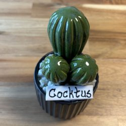 Cocktus Ensfarvet- sort potte