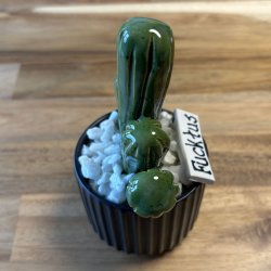 Fucktus  Ensfarvet - sort potte