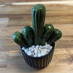 Fucktus  Ensfarvet - sort potte