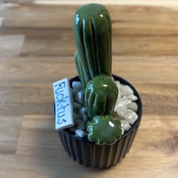 Fucktus  Ensfarvet - sort potte