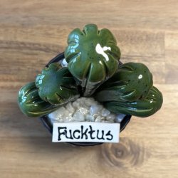 Fucktus  Ensfarvet - sort potte