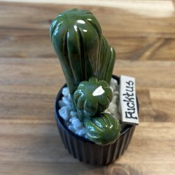 Fucktus  Ensfarvet - sort potte