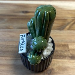 Fucktus  Ensfarvet - sort potte