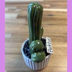 Fucktus Ensfarvet - hvid potte