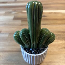 Fucktus Ensfarvet - hvid potte